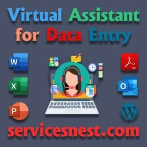 Virtual Assistant for Data Entry